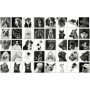 Fotografenverlag Hunde Chiens – Jeu de mémoire