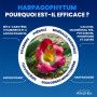 ARTHROPHYTOL x2 tubes - Gel de Massage Articulations & Muscles - 8 Actifs Naturels - Harpagophytum & Huiles Essentielles & Menth