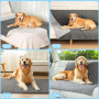 HezzLuv Couverture imperméable pour chien et chat - Pour canapé, lit et voiture - Protection de canapé / lit - Réversible et rés