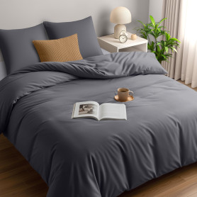 Utopia Bedding Housse de Couette 220x240 cm avec 2 Taies d'oreiller 65x65 cm (Gris) - Parure de lit 220 x 240 cm - Ensembles de 