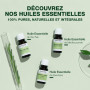 PRANARÔM - Huile Essentielle de Citronnelle de Java Partie Aérienne - Anti-moustiques - 100% Pure Et Naturelle - HECT - 10 ml