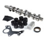 NSGMXT Kit d'arbre à cames compatible avec A3 8P A4 8E 8H B7 P0-lo Le-on Fa-bia 1.9 2.0 TDI BLS BMM BMP BMT 038109309A 038109309