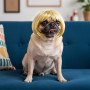 Cobee Perruque amusante pour chien et chat - Réglable - Costume amusant pour animal de compagnie - Pour chiens de petite, moyenn
