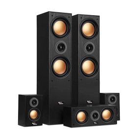 Evidence Acoustics Ensemble HiFi/Home-Cinéma EA950-PG - 5 Enceintes 850W - Bass Reflex - Haut-parleurs Finition cuivre