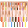 Lot de 20 brosses à dents en bambou à poils durs pour adultes - Ensemble familial - Brosse à dents bio naturelle (multicolore 20