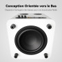 Fosi Audio SW10 Caisson de Basses 10 Pouces 500 W avec Amplificateur Intégré, Caisson de Basses Compact 10 Pouces à Amplificatio