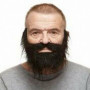 Fausse barbe My Other Me Noir 40,99 €