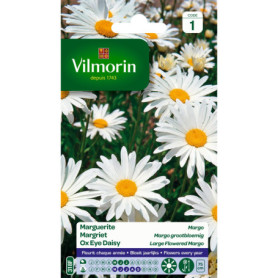 Chrysanthème Grande Marguerite Blanc - Plante Artificielle Vilmorin