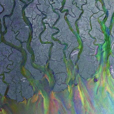 Album An Awesome Wave d'Alt-J - Édition Importée 44,77 €