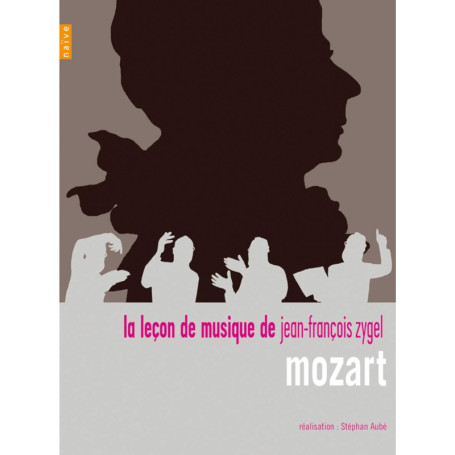 La Leçon de Musique de Mozart par Jean-François Zygel - DVD 19,58 €