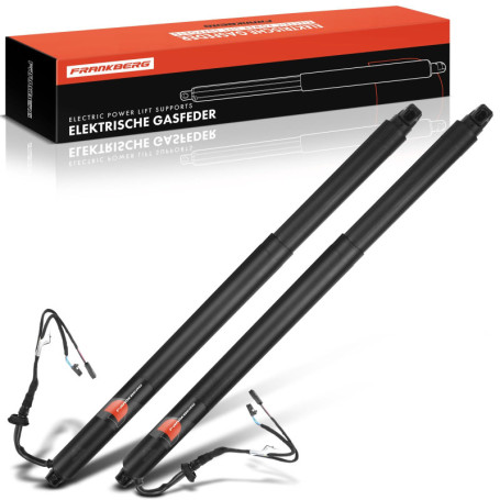 Vérins à Gaz Électriques Frankberg pour Hayon - Compatibles O.c.t.a.v.i.a III 2013-2020