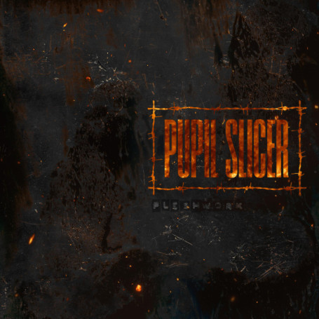 Pupil Slicer - Fleshwork : L'Essence du Mathcore Londonien
