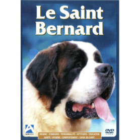 Le Saint Bernard : Guide Complet sur l'Éducation et la Santé du Chien