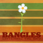 Coffret 4CD Watching The Sky - The Bangles