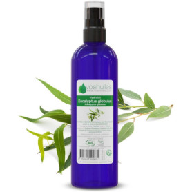 Hydrolat d'Eucalyptus Globulus 100ml - VOSHUILES, Parfum Naturel et Pur