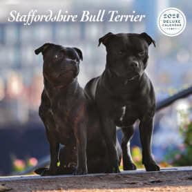 Calendrier Deluxe Staffordshire Bull Terrier 2025