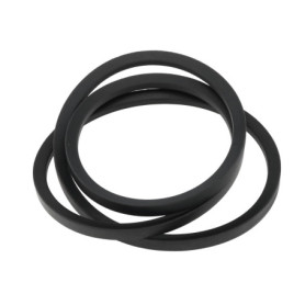 Courroie d'Entraînement eMagTech pour Scarificateur Viking LB540