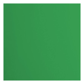 Papier Cartonné Florence Vert Holly - 20 Feuilles 30,5 x 30,5 cm