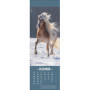 Marque-page et calendrier 2025 avec photos de chevaux