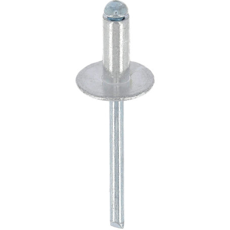 Rivets Aluminium Tête Large Restagraf - Boîte de 250 pour Audi et Renault