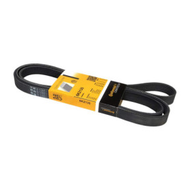 Courroie Trapézoïdale à Nervures ContiTech 6PK2135 pour Véhicules