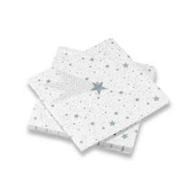 20 Serviettes en Papier 3 Plis Eternal Silver - 40x40cm