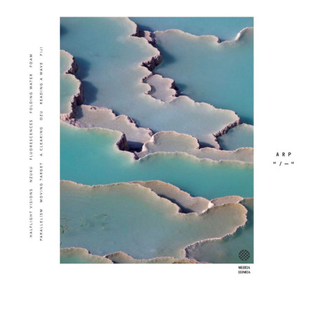 Zebra - Album d'Arp par Alexis Georgopoulos