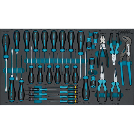 Set de Tournevis HAZET 34 Pièces - Précision et Polyvalence