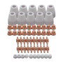 Kit de 60 Consommables pour Plasma PT-31 et LG-40 - Électrodes et Buses