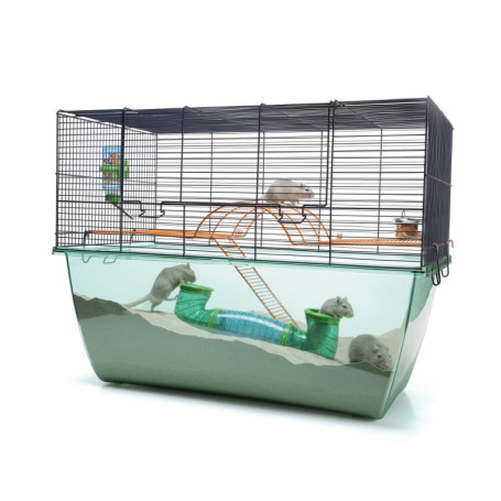 Cage Habitat XL pour Rongeurs - Vadigran - Bleu 70x37x56 cm