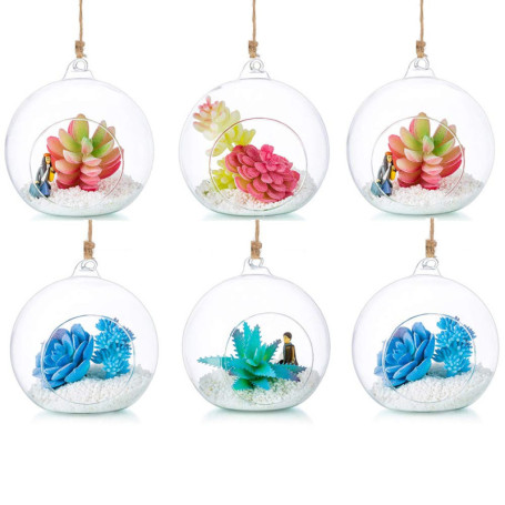 Terrarium en Verre Suspendu - Set de 6 Boules Décoratives pour Plantes
