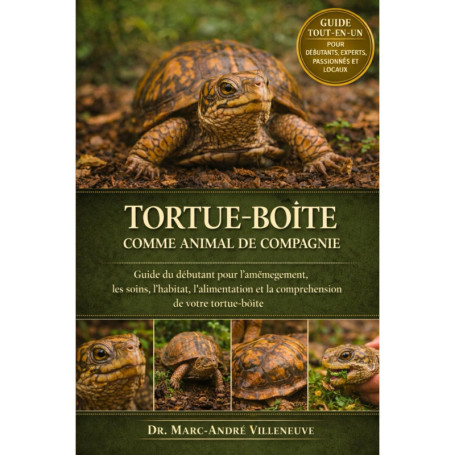 Guide Pratique pour Accueillir une Tortue-Boîte comme Animal de Compagnie