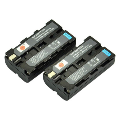 Pack de 2 Batteries Li-ion DSTE pour Sony NP-F550 et Compatibles