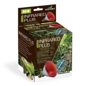 Ampoule Halogène Infrarouge 150W pour Reptiles - Reptiles Planet