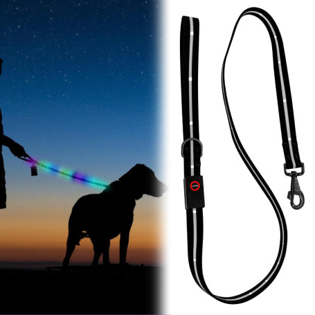 Laisse LED Rechargeable WIYETY pour Chien - 1,2 m avec 9 Modes d'Éclairage