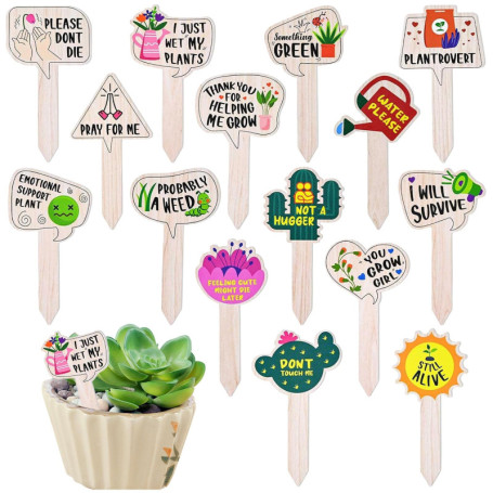 Ensemble de 15 Étiquettes en Bois T-Type pour Jardin et Potager