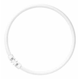 Tube Fluorescent Osram FC 55W 2GX13 - Éclairage Économique et Durable
