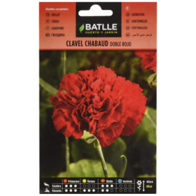 Semences d'Oeillet Chabaud Rouge - Parfumé et Attire les Pollinisateurs