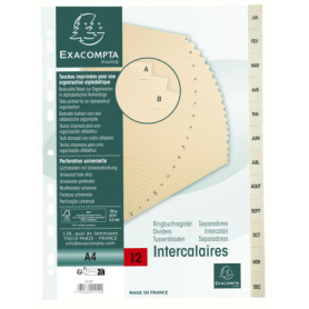 Intercalaires en Carte Ivoire A4 avec Onglets Mensuels - Carton de 10