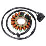 Bobine d'Allumage Magneto Stator Road Passion pour S1000RR et S1000R