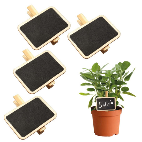 Étiquettes en Bois pour Plantes - Marqueurs Réutilisables avec Pince