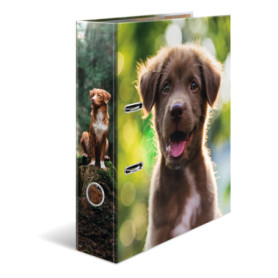 Classeur A4 HERMA Lot de 5 avec Motif Chien - Rangement Coloré pour Enfants