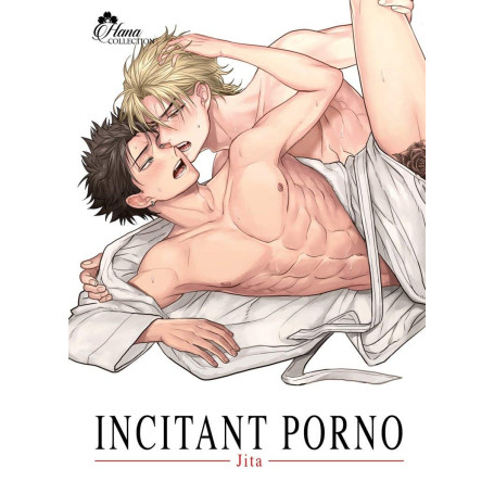 Incitant Porno - Manga Yaoi : Une Love Story Étonnante