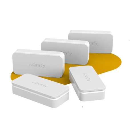 Pack de 5 Détecteurs IntelliTAG Somfy - Alarme Anti-intrusion pour Portes et Fenêtres