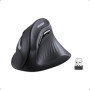 Souris Bluetooth Verticale Ergonomique UGREEN - Sans Fil 2,4G, 4000 DPI