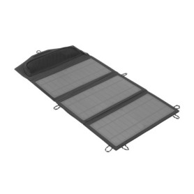 Panneau Solaire Portable RYOBI 21W avec 2 Ports USB-A