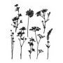 Tampons en Caoutchouc Fleurs Sauvages Tim Holtz - 7 x 21,5 cm