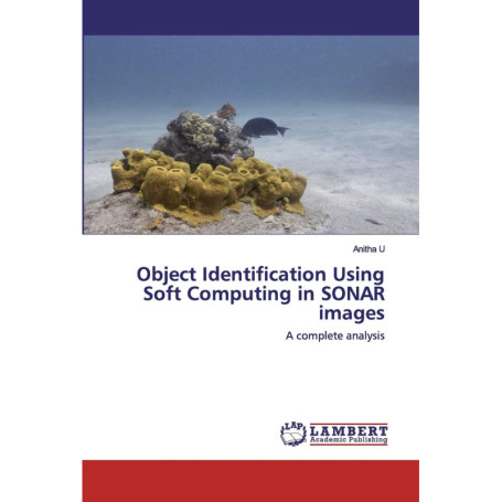 Analyse Complète de l'Identification d'Objets dans les Images SONAR