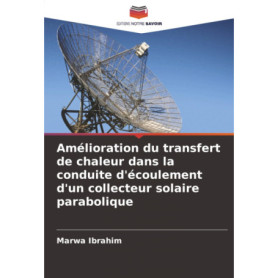 Optimisation du Transfert de Chaleur dans les Collecteurs Solaires Paraboliques