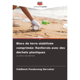 Blocs de Terre Stabilisée Comprimée Renforcés avec Déchets Plastiques